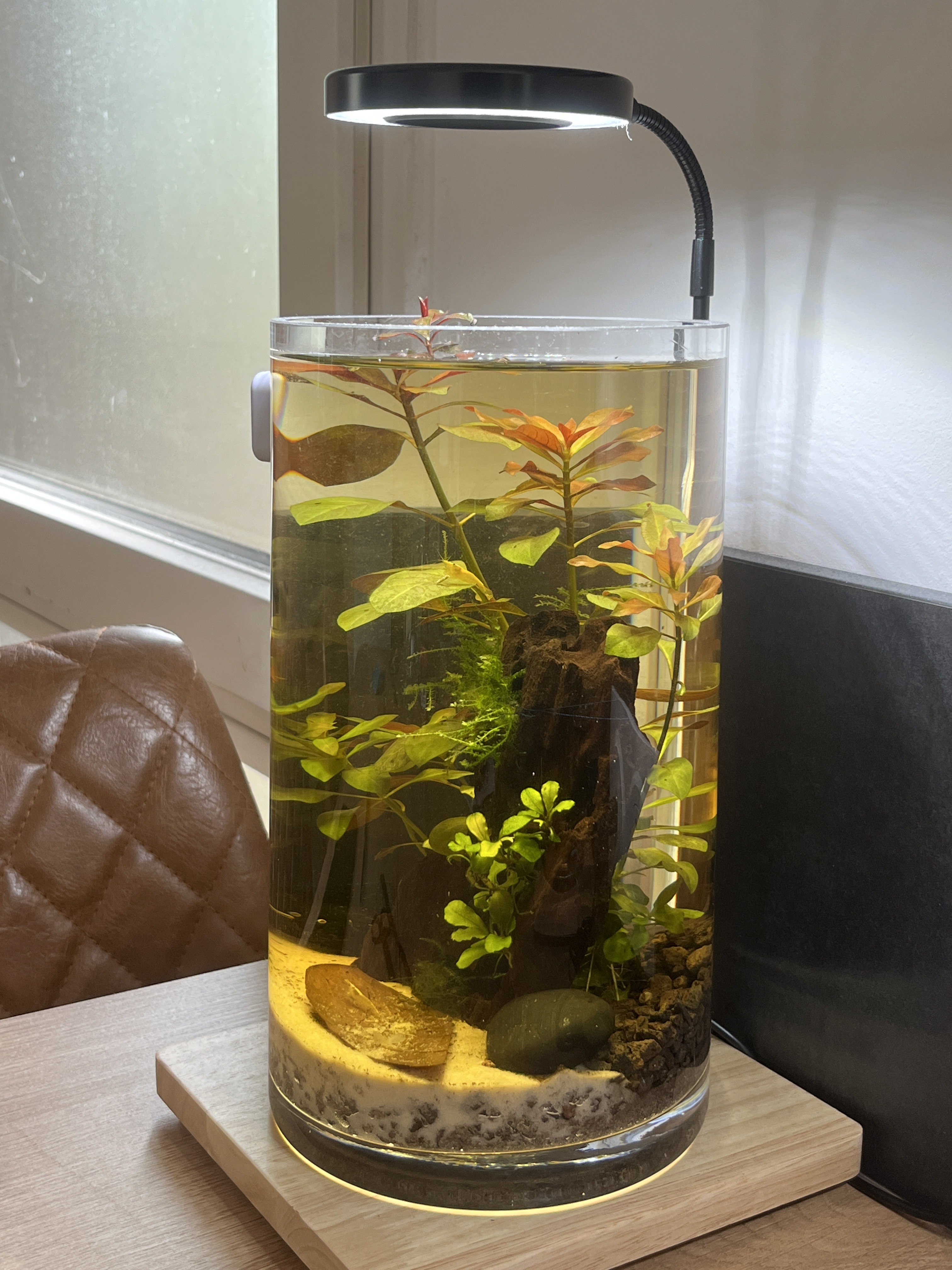 Création Néréides & Mizu réelle installée dans un intérieur